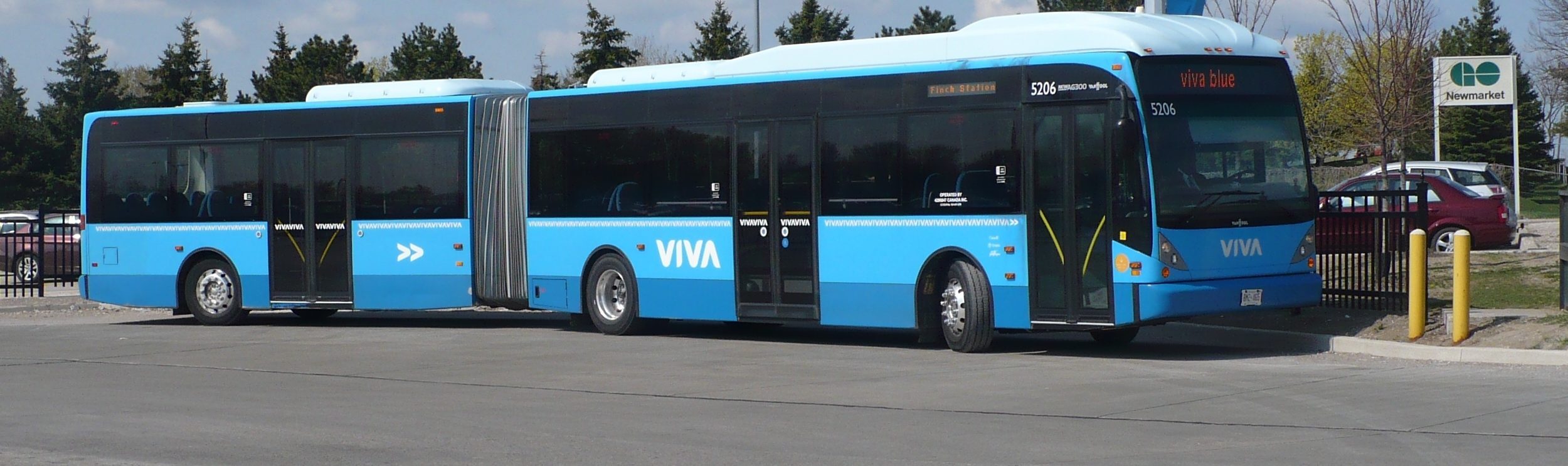 Newmarket VIVA Blue