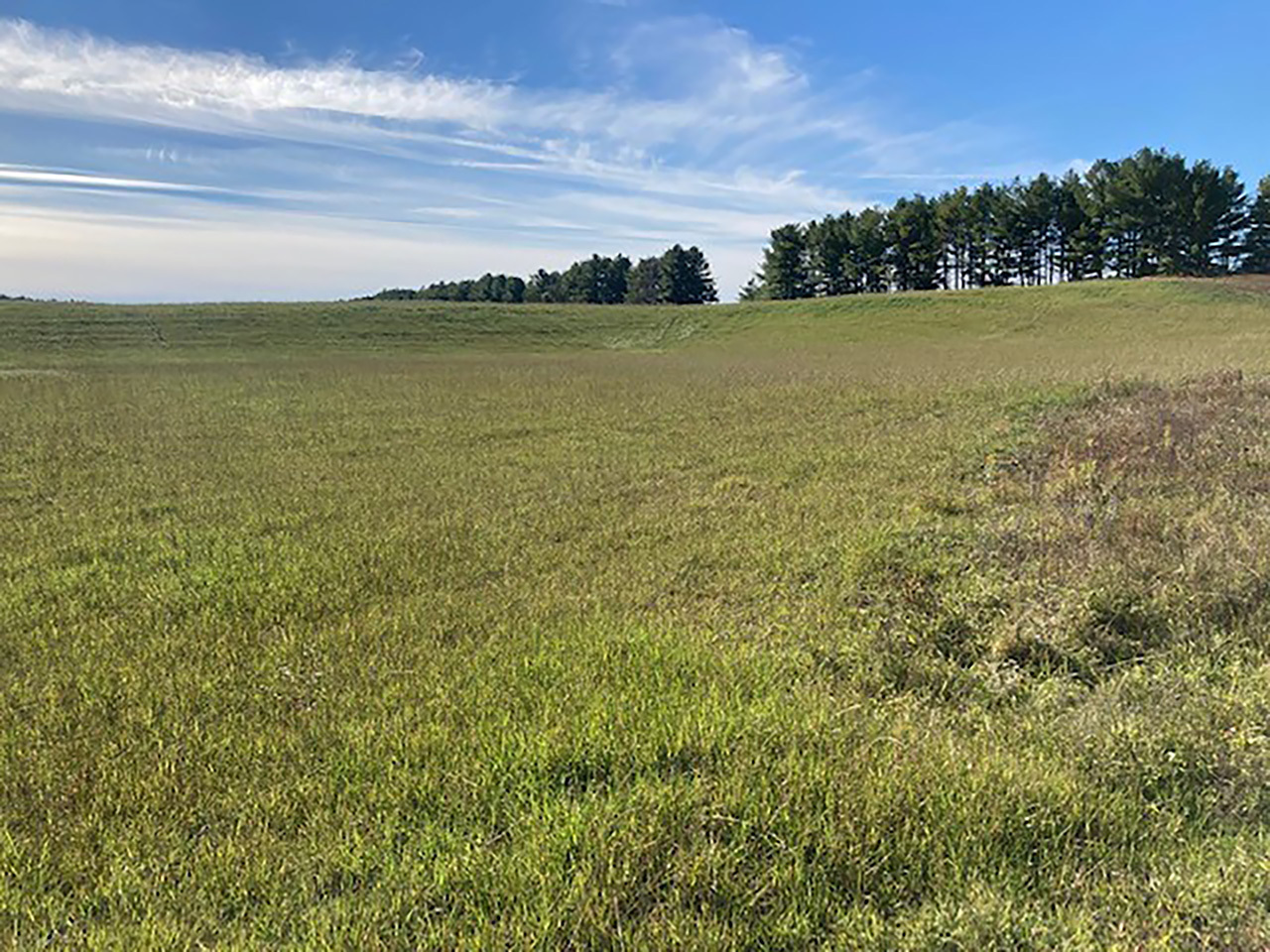 West-Grey-after-rehabilitation Gravel pit in West Grey after being rehabilitated to pasture land