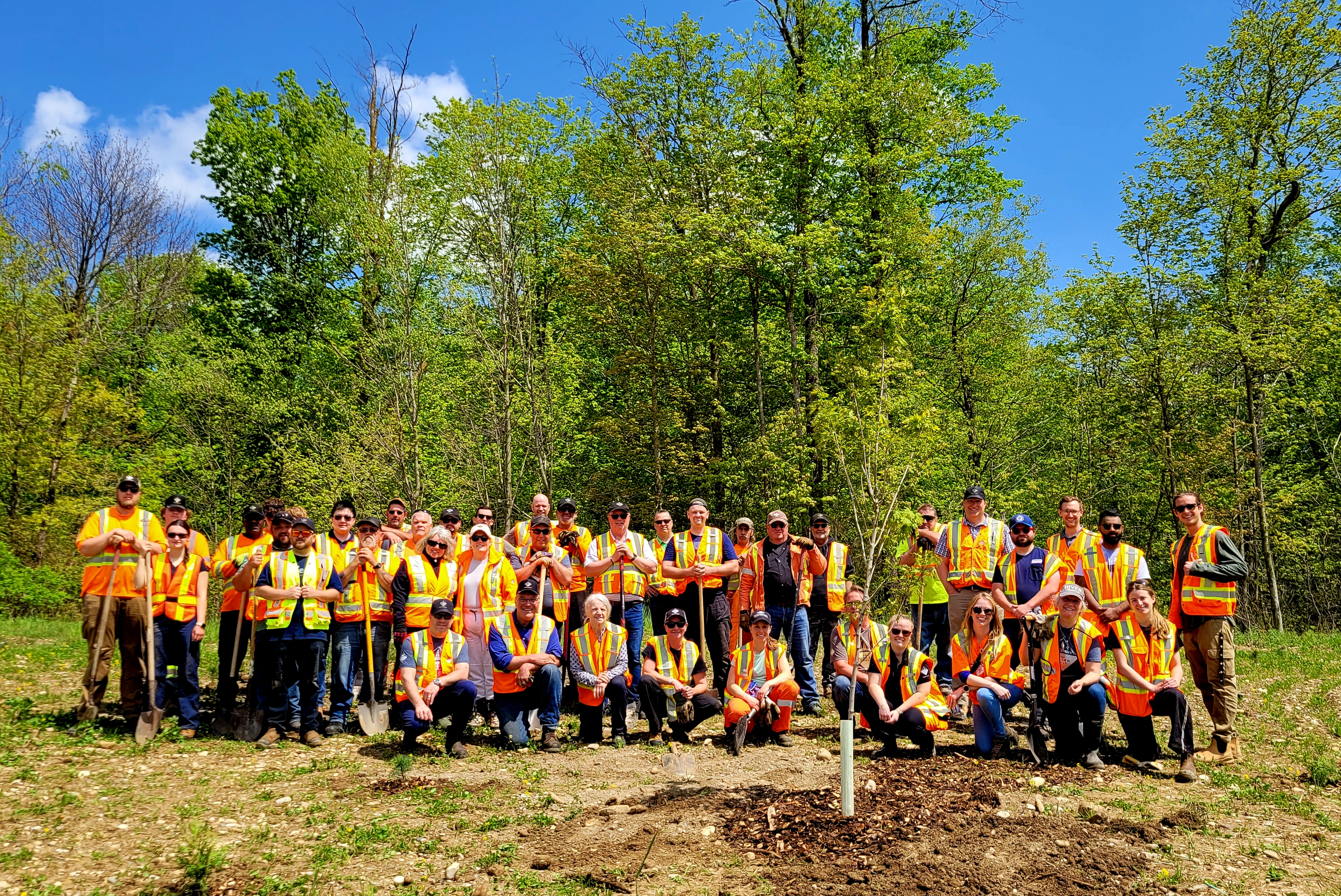 Miller employees planting trees in Mount Forest.